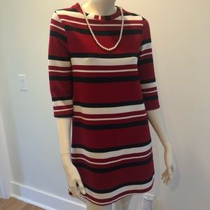 Zara Trafaluc Shift Dress S